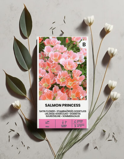 Isovarpuinen samettikukka "Salmon Princess"