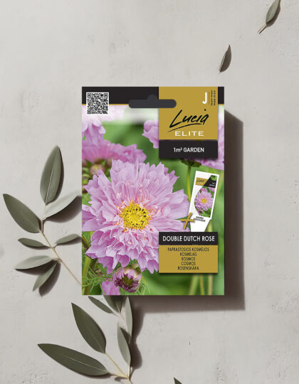 Täysikukkaiset kosmoksen siemenet 'Double Dutch Rose'