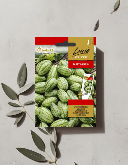 Meksikolainen kurkku tai hiirimeloni