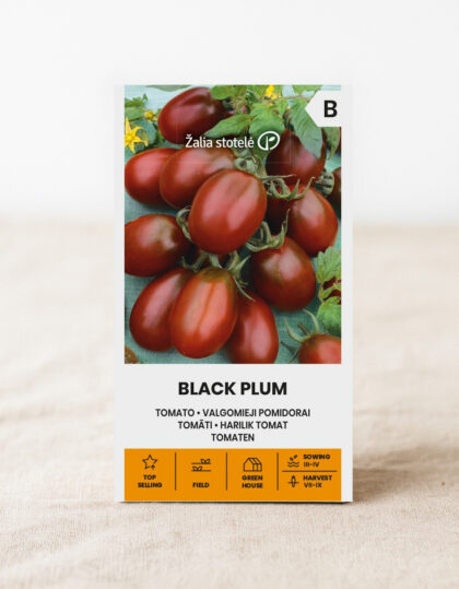 Cobartomatis-siemenet "Black Plum" (musta luumu)