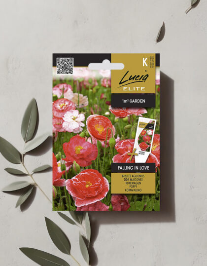 Unikonsiemenet "Rakastuminen"