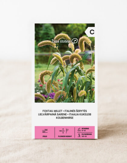 Italialainen sämpylä