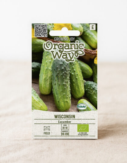 Orgaaniset kurkun siemenet 'Wisconsin'