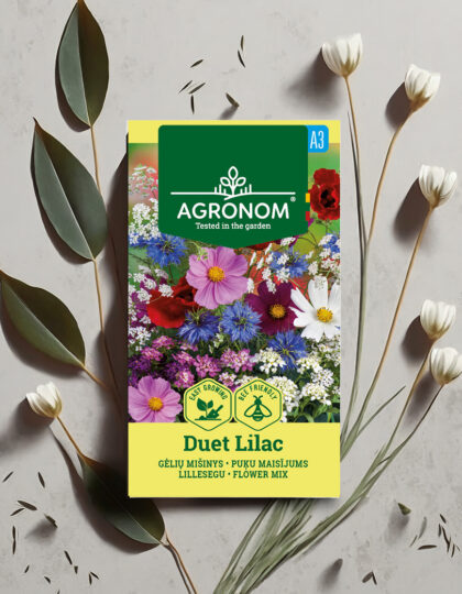 Kukkasiemenseos 'Duet Lilac'