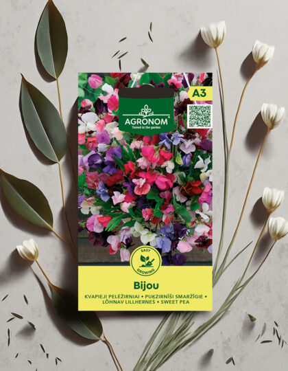 Tuoksuherneen siemenet 'Bijou'