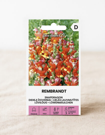 Lohimarjan siemenet 'Rembrandt'