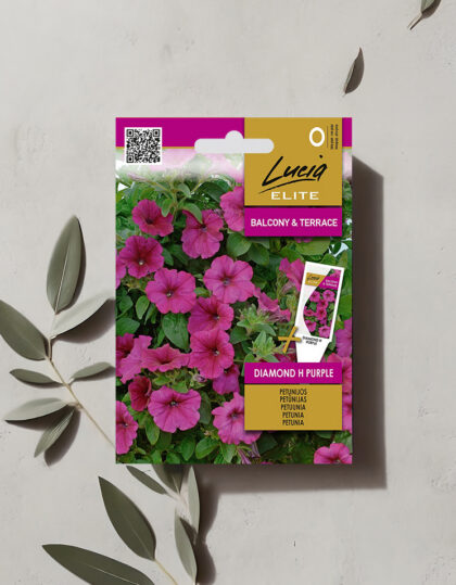 Kylkipetunia "Diamond H Purple" siemenet