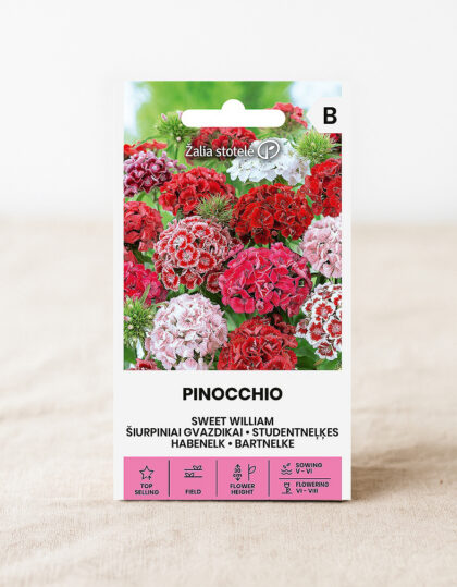 Habenelgi siemenet "Pinocchio"