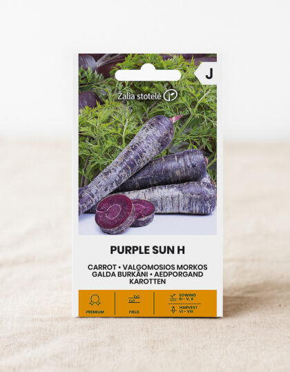 Purppuranporkkanan siemenet 'Sun H'