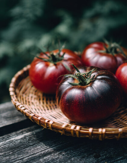 Tomaatin siemenet 'Black Prince'