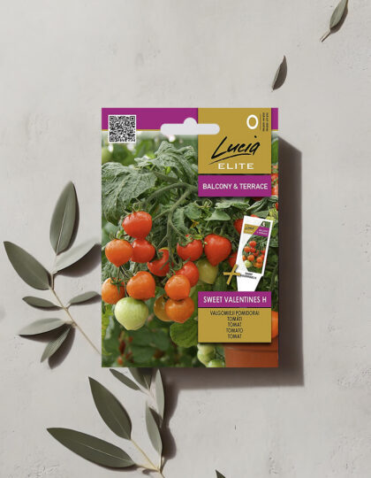 Kirsikkatomaatin siemenet 'Sweet Valentines H'
