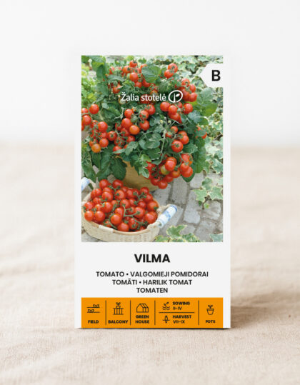 Kirsikkatomaatin siemenet 'Vilma'