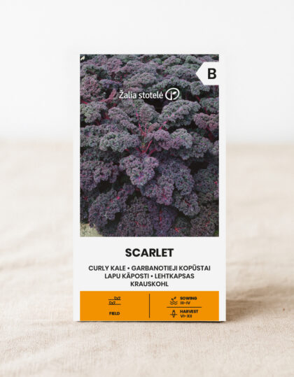 tumman lehtikaalin siemenet