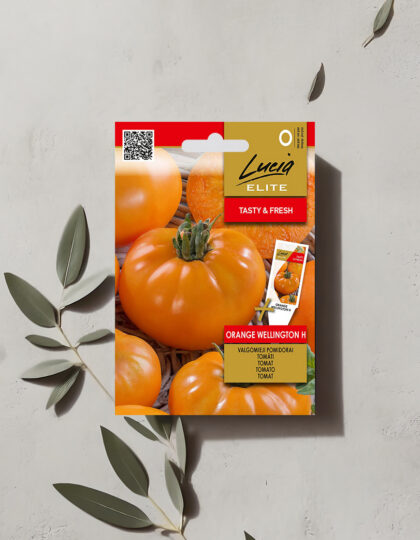Tomaatti siemeniä 'Orange Wellington H'