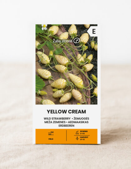 valkoinen metsämansikka