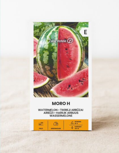 Arbutus ‘Moro H’