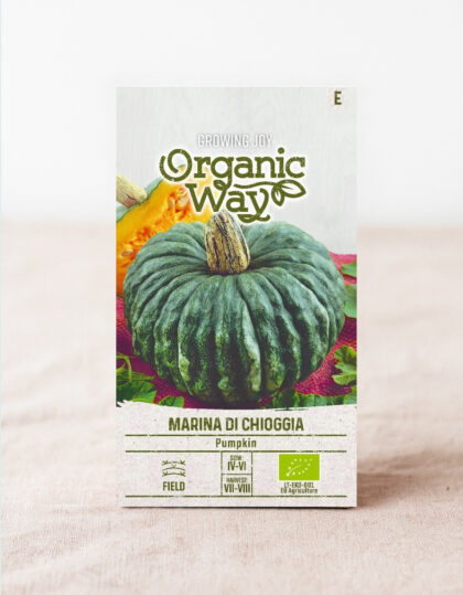 Kurpitsa ‘Marina di Chioggia’ - (luomu)