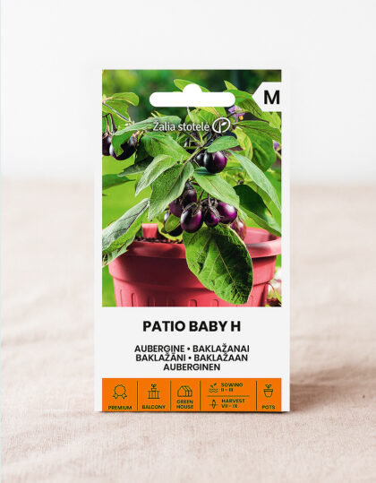 Munakoiso ‘Patio Baby H’