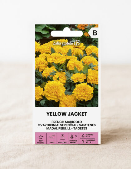 Ranskalainen kantarelli