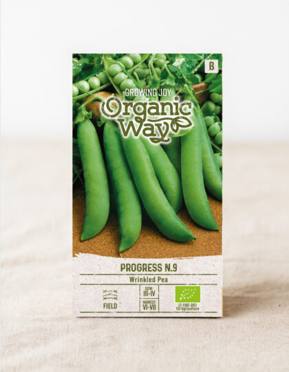 Puutarhaherne ‘Progress No. 9’ (luomu)