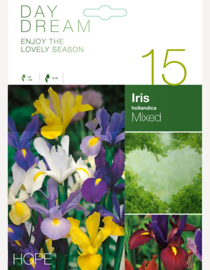 Hollantilainen iirissekoitus